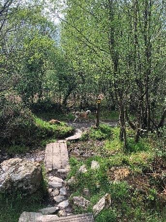 promenade